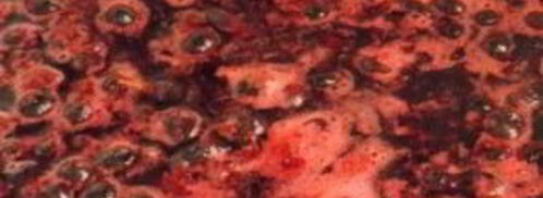 желе из черной смородины на зиму. Шаг 2