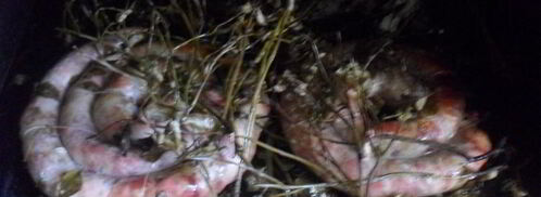 деревенская пальцемпханная колбаса. Шаг 9