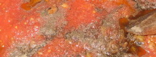 баклажановая икра. Шаг 17