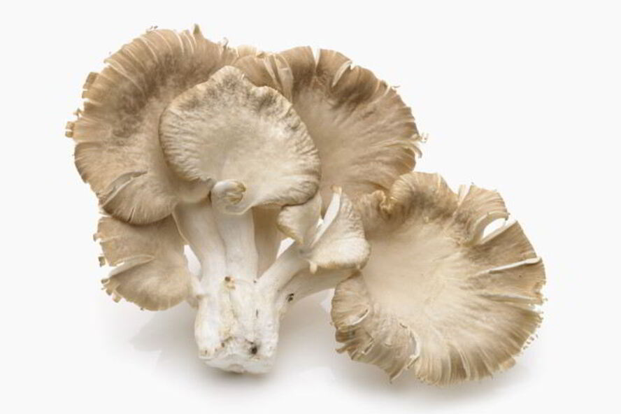 Рецепт икра из вешенок