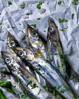 Мойва пряного посола