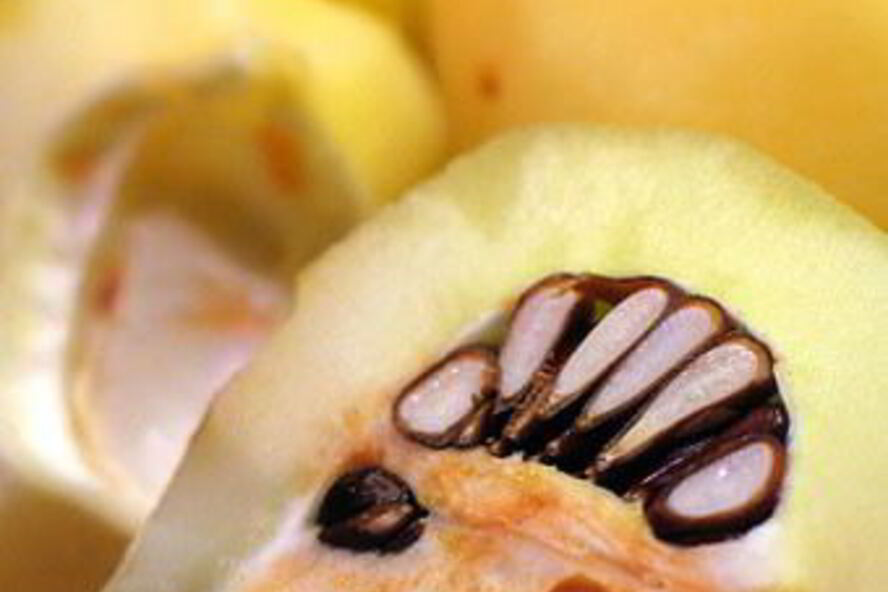 Рецепт омлет с айвой