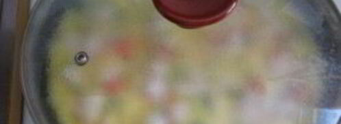 омлет с крабовыми палочками. Шаг 7