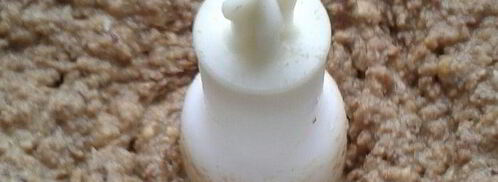 паштет из чечевицы с кешью и черносливом. Шаг 4