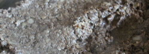 паштет из лесных грибов с гречневыми хлопьями. Шаг 6