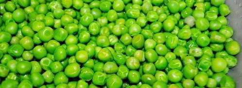 паштет из зеленого горошка. Шаг 3