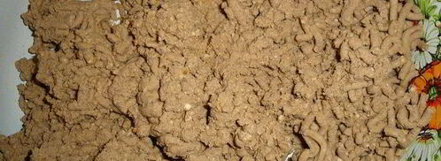 паштет на завтрак. Шаг 5