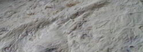 рулет из лаваша с грибами. Шаг 3