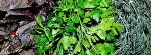 рулеты из говядины прованские огурчики. Шаг 3