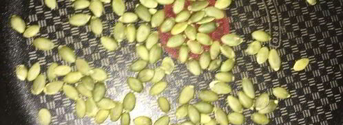 мини-тарты с салатом из индейки и овощей. Шаг 13