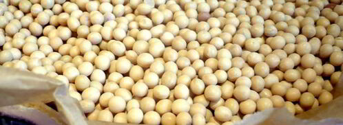 шоколадно-сливочный тарт только мысли все о нем и о нем. Шаг 5