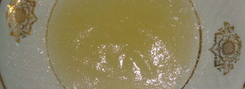 тарт без выпечки с творогом и нектаринами. Шаг 4