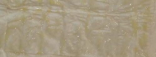 тарт с брокколи, луком-пореем и сыром. Шаг 7