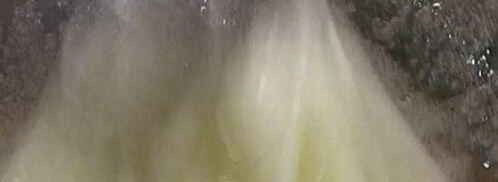 тарт с манго. Шаг 14