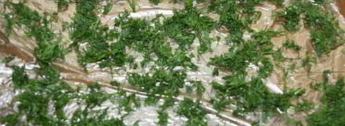 творожный сыр с зеленью. Шаг 5