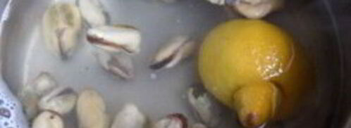 жульен из мидий. Шаг 2